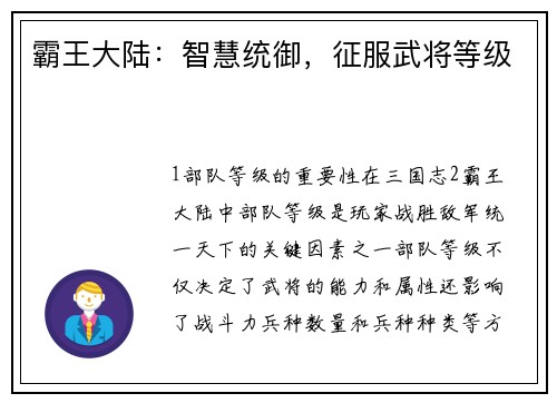 霸王大陆：智慧统御，征服武将等级